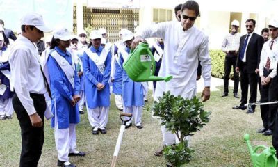 Green Pakistan