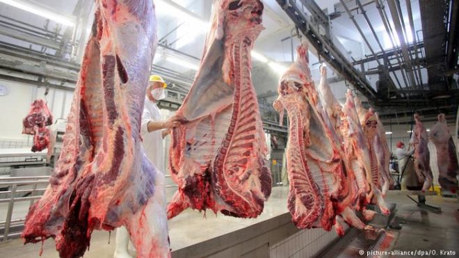 بیمار پولستانی گائیوں کا گوشت، کئی یورپی ممالک میں تشویش