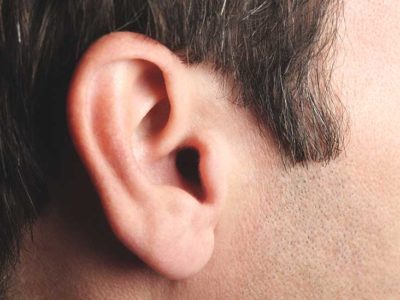 Ear