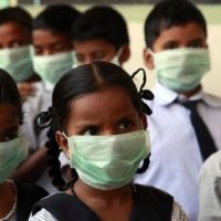 India Swine Flu