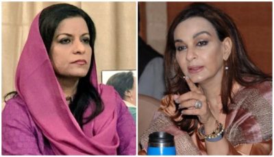 Sherry Rehman 