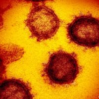 Coronavirus