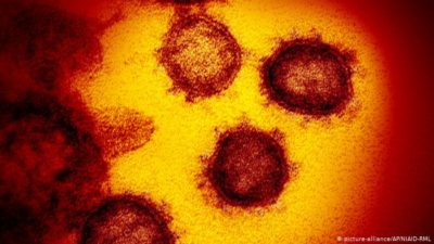 Coronavirus 