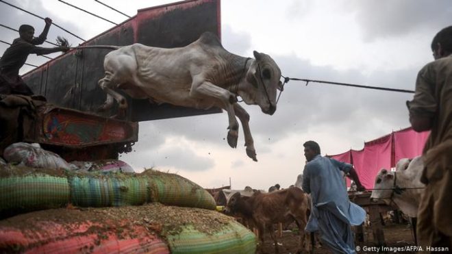 کیا عیدالاضحیٰ پر پاکستان میں کورونا وائرس کا پھیلاؤ بڑھ سکتا ہے؟