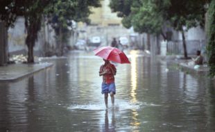 مون سون کے وبائی امراض