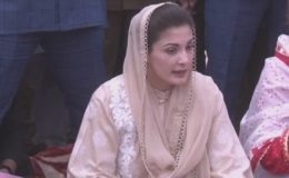 اپوزیشن کی تحریک سے مارشل لا لگنے کا کوئی امکان نہیں: مریم نواز