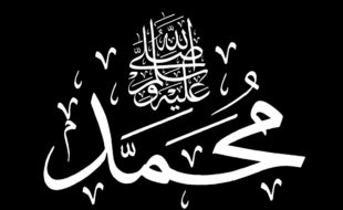 سرور کونین (محمد صلی اللہ علیہ و آلہ وسلم)