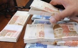 دو سال کے دوران سرکاری اداروں کو 10 کھرب 14 ارب روپے کا نقصان