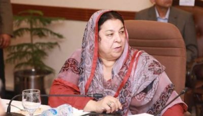 Dr. Yasmeen Rashid