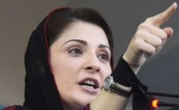 ‘ایم این ایز اور ایم پی ایز کا ساتھ چھوڑنے پر حکمرانوں کو شو آف ہینڈ یاد آ گیا’