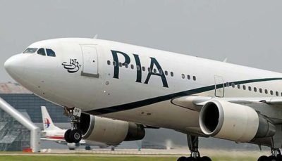  PIA