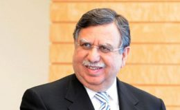 نیب کا ڈر وزارت خزانہ سمیت تمام وزارتوں میں ہے: شوکت ترین