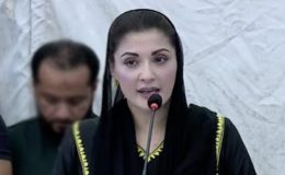 بیٹے کیخلاف جھوٹی خبر چلانے والے چینل نے معافی نہ مانگی تو عدالت جائیں گے، مریم