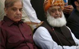 شہباز شریف اور فضل الرحمان کا ملک میں فوری انتخابات کا مطالبہ