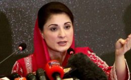 مریم نواز نے حکومت کو چند دنوں کا مہمان قرار دے دیا